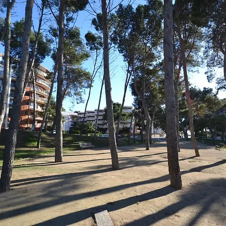 Wvp - Catalunya 4 *